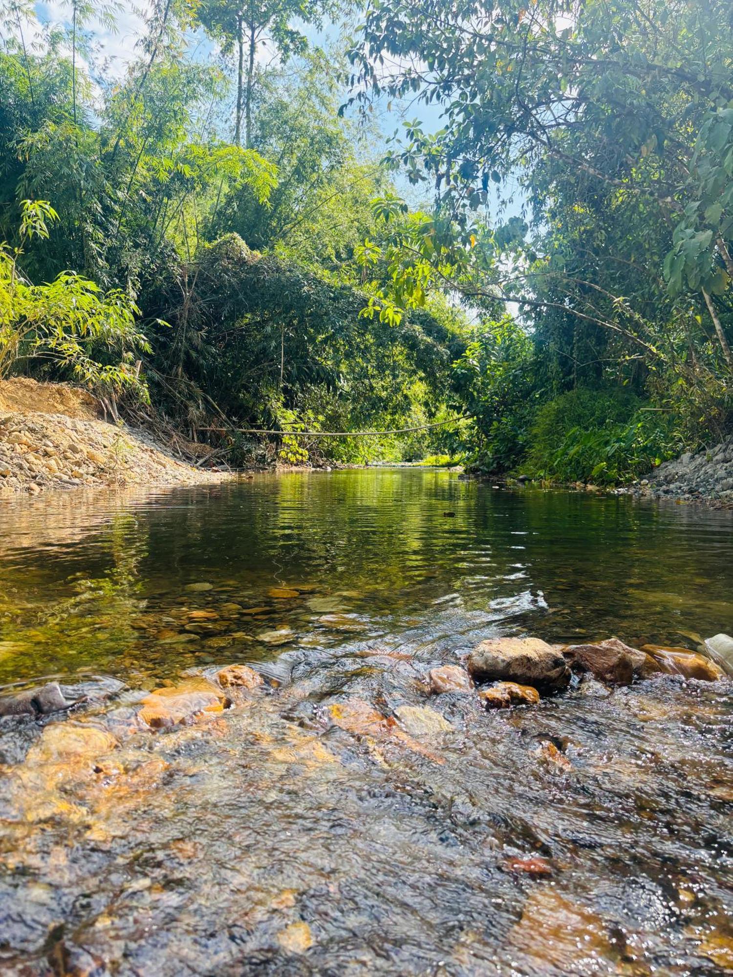 Camping Phutajoy Khaosok แคมป์ปิ้งภูตาจ้อยเขาศก Ban Thung Lang Tham Eksteriør billede